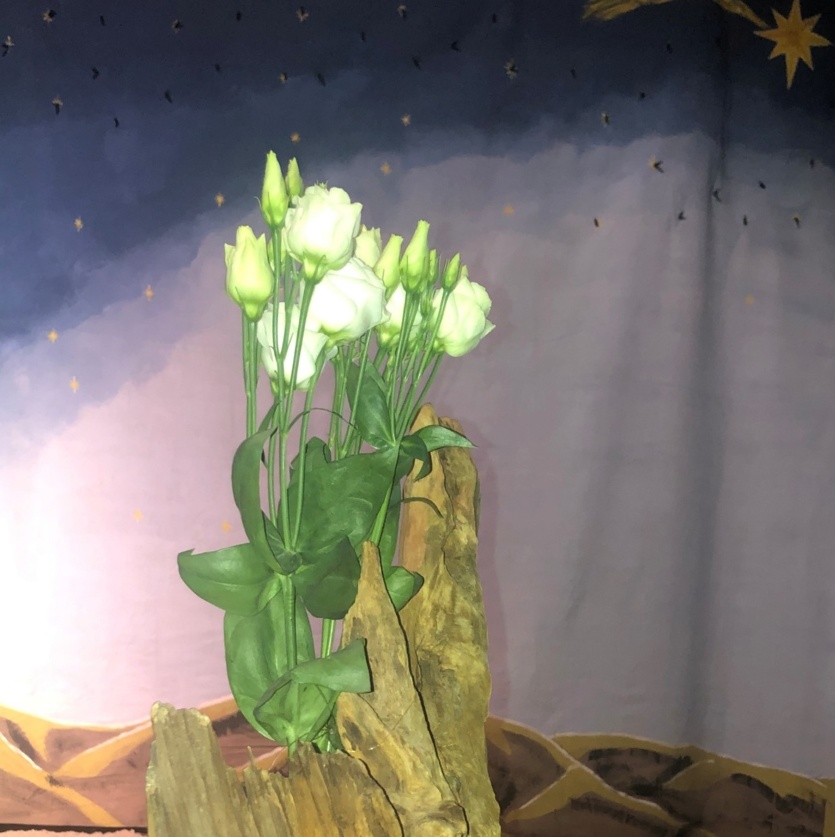 Wegekrippe 2025 in der Kirche St. Lambertus