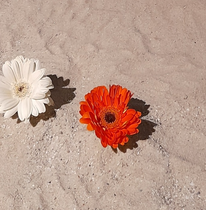 Wegekrippe 2025 in der Kirche St. Lambertus